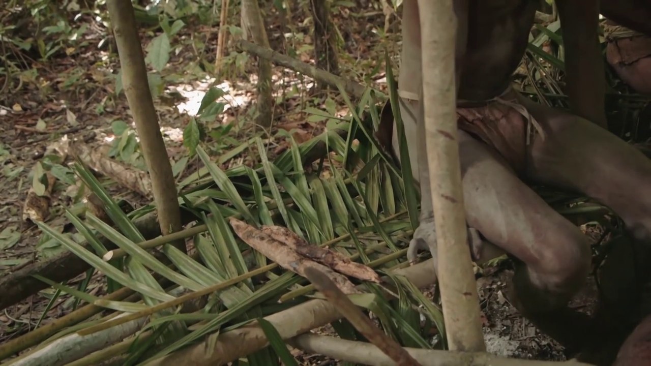 Hidden tribes