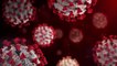 Virus : un premier cas de transmission de la grippe aviaire H5N8 à l'humain a été détecté