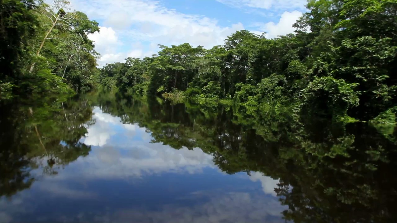 D'incroyables peintures rupestres vieilles de 12 500 ans ont été découvertes en Amazonie colombienne
