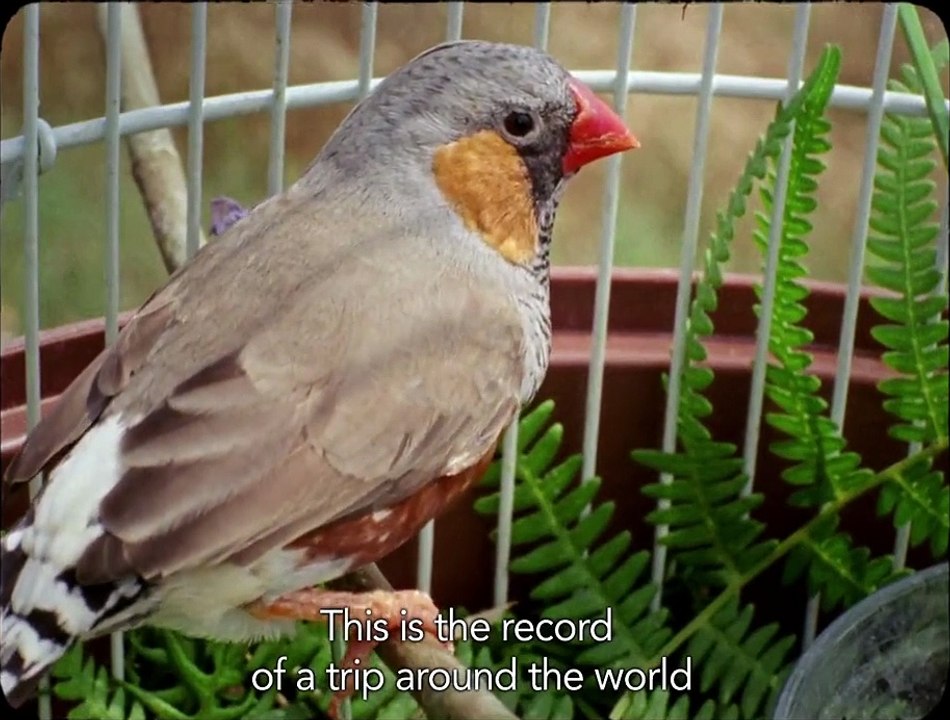 A Volta ao Mundo Quando Tinhas 30 Anos Fragman