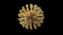 Coronavirus : une autre maladie transmissible à l'homme ressurgit soudainement en France