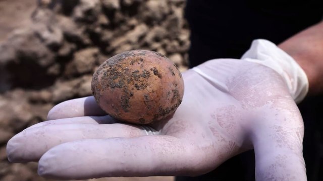 Israël : des archéologues découvre un oeuf de poule millénaire... et le cassent