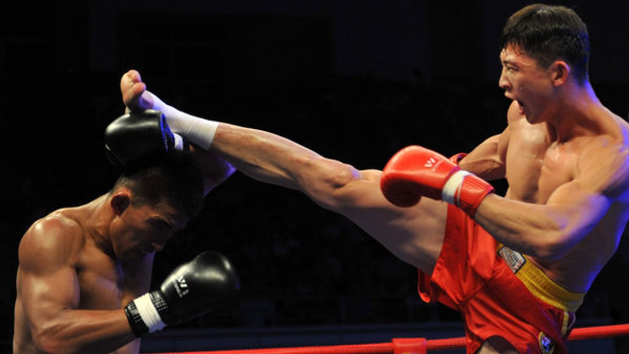 Sanda: Eine spektakuläre Kampfkunst