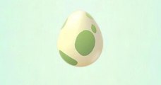 Pokémon GO: Weniger doppelte Pokémon in den Eiern