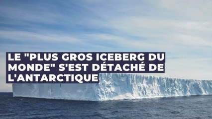 Environnement : le "plus gros iceberg du monde" s'est détaché de l'Antarctique
