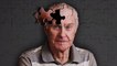 Santé : des scientifiques pensent avoir trouvé la cause de la maladie d'Alzheimer