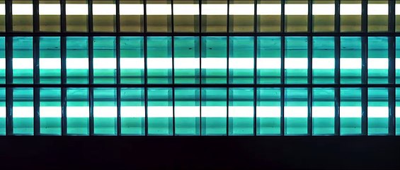 Black Panther Altyazılı Fragman (3)