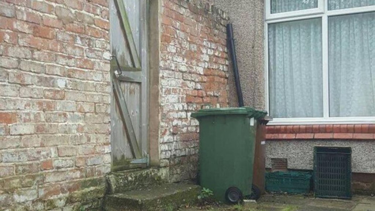 Dieses Fotorätsel löst keiner: Wo hat sich die Katze versteckt?