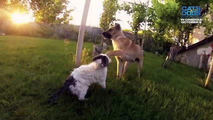 Cats & Dogs 3: Paws Unite (2)