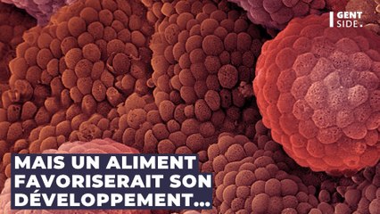 Santé : cet aliment pourrait favoriser le cancer de la prostate