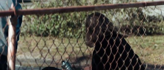 Siyah Telefon Altyazılı Fragman