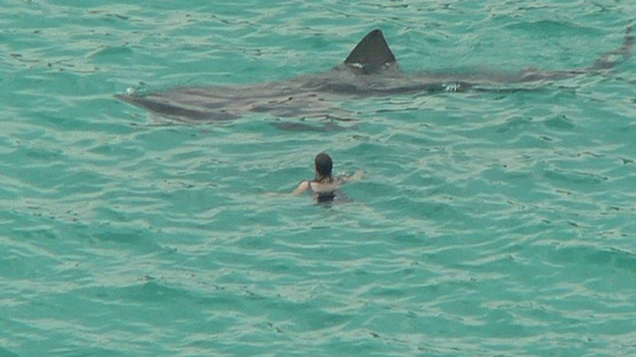 Letztes Gebet: Was würdest du machen? So hat ein Schwimmer in Todesangst reagiert!