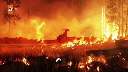 Bir Zamanlar Çukurova 64.Bölüm Fragmanı