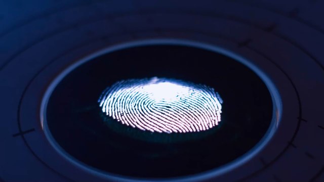 Indonésie : l'ADN d'un squelette révèle un groupe humain inconnu jusqu'ici