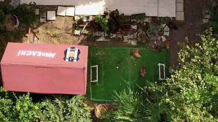 Şevkat Yerimdar 5.Bölüm Fragmanı