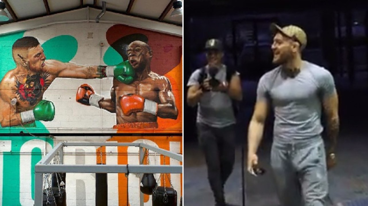 Conor McGregor: Trainingspartner überraschen ihn mit Mayweather-Wandbild
