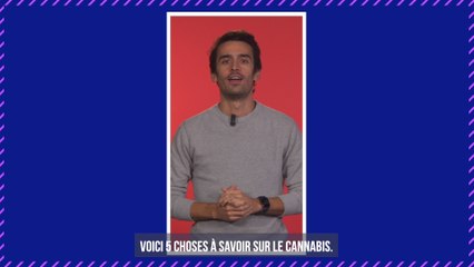 Syndrome cannabinoïde : quel est ce mal étrange qui touche les consommateurs de cannabis ?