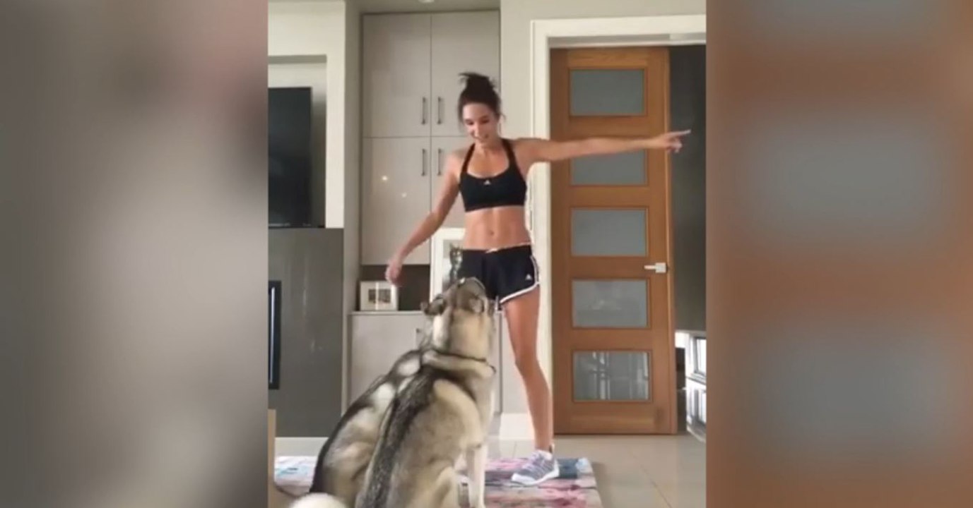 Ces deux Huskys veulent participer à la séance de sport de leur maîtresse