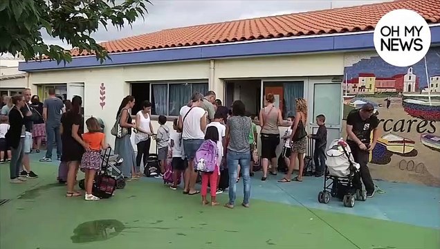 La mayonnaise : un très bon remède contre les poux et les lentes