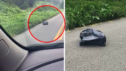 Elle voit un sac poubelle "marcher" sur la route. Elle s'en approche et l'ouvre...