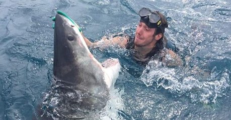 Face à face avec un requin blanc, cet homme l'attrape par le nez pour le calmer