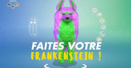 Les Sims 4 : les joueurs s'en donnent à coeur joie avec la personnalisation des animaux