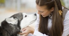 Selon une nouvelle étude, les chiens comprennent très bien les mots de l'homme