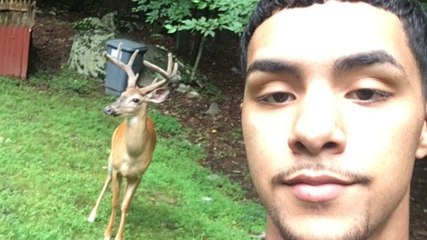 Cet adolescent vit seul dans la forêt entouré de bêtes sauvages