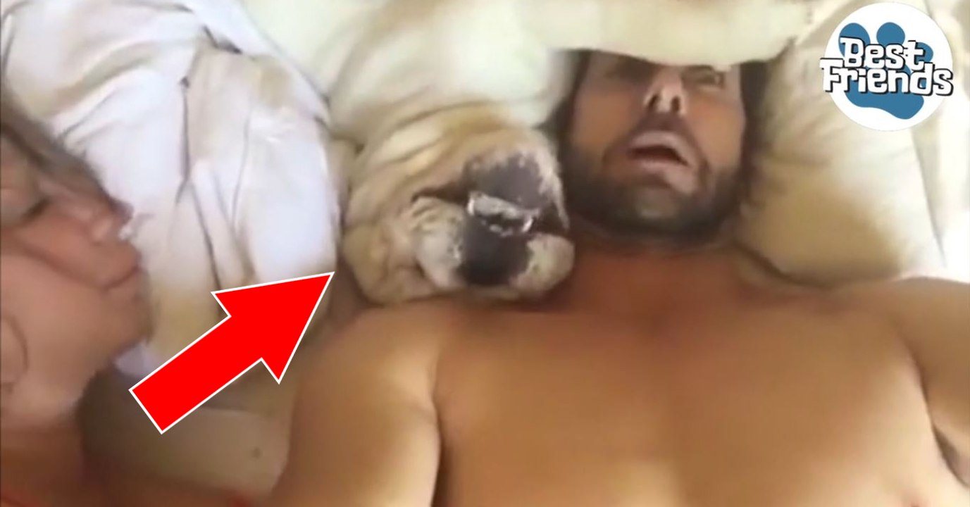 Au réveil, ce chien fait des bruits vraiment trop drôles