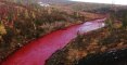 Doldykane river : les eaux de cette rivière russe viennent de devenir rouges