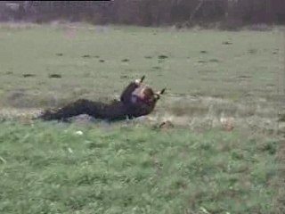 Régis fait du Cerf-Volant