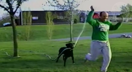 Il se fait poursuivre par un labrador armé d'un tuyau d'arrosage !