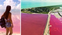Las Coloradas (Mexique) : pourquoi ce lagon rose est le plus bel endroit à voir sur Terre