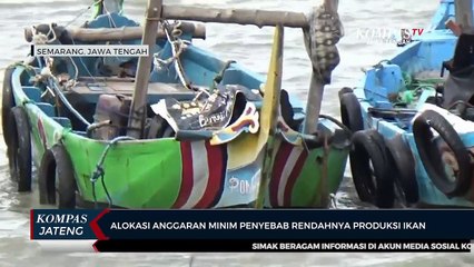 Alokasi Anggaran Minim Penyebab Rendahnya Produksi Ikan