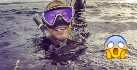 Ce jeune homme vient de prendre le selfie le plus incroyable du monde