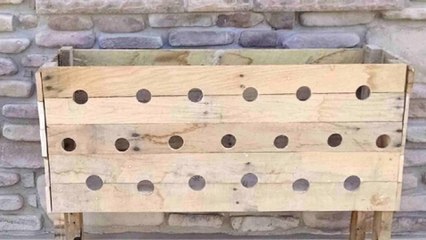 Cet homme utilise des palettes et des Pétunias pour décorer son jardin