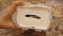 Elle crée des lingettes nettoyantes à partir d'un simple rouleau de papier absorbant