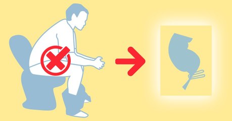 La position assise sur les wc ne serait pas adaptée pour l'être humain