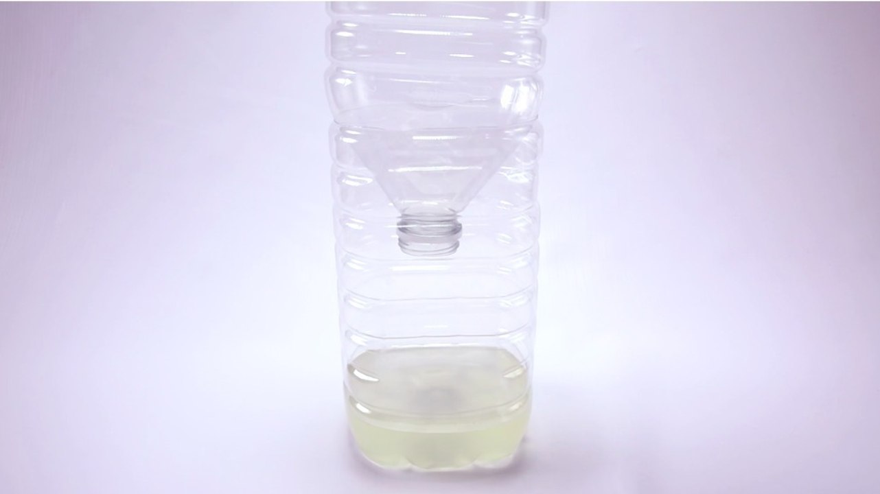 Comment faire un piège à guêpes efficace ?