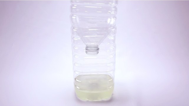 Comment faire un piège à guêpes efficace ?