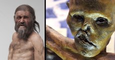 Ötzi : voici les causes de la mort de la plus vieille momie du monde
