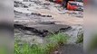 Lahar Dingin Gunung Merapi ( 03 Feb 2022 ) • Hingga Puluhan Armada Truk Terjebak Banjir Lahar Dingin