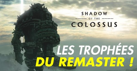 Shadow of the Colossus (PS4) : trophées du remaster de 2018