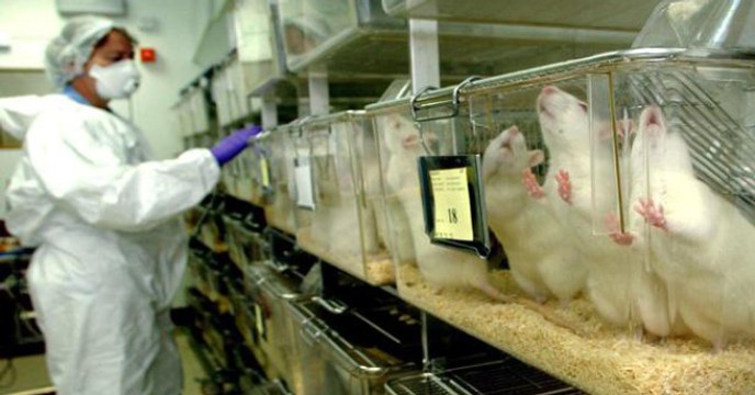 L'Union européenne vient d'interdire la vente de produits cosmétiques testés sur les animaux