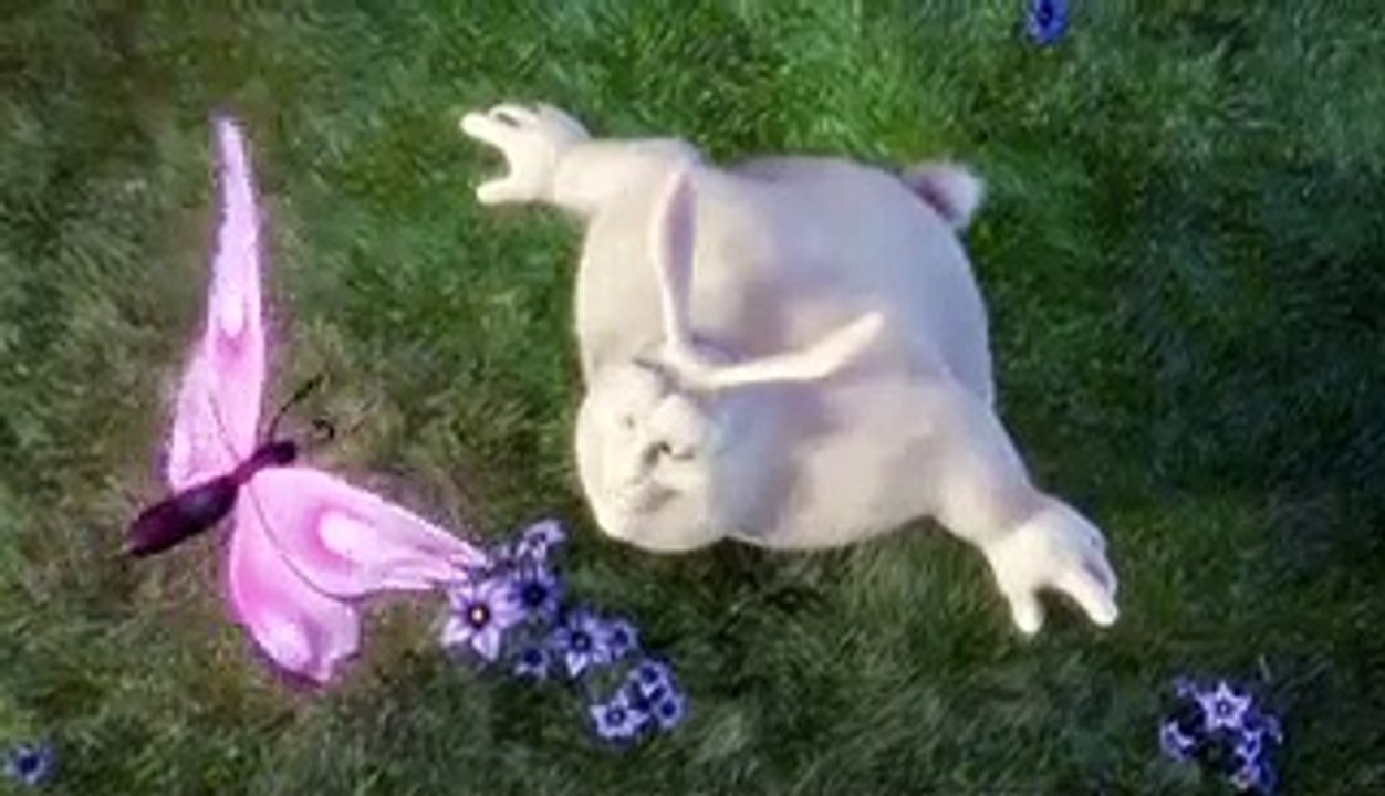 dtgf