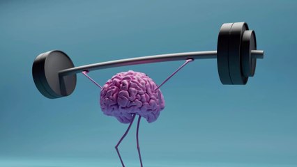 Pourquoi le cerveau humain rétrécit-il depuis 3000 ans ?