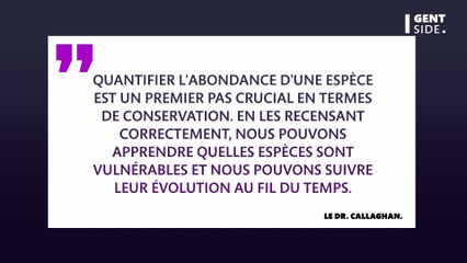 Animaux : dans le Cotentin, ils tombent sur un oiseau qui n'existe plus en France
