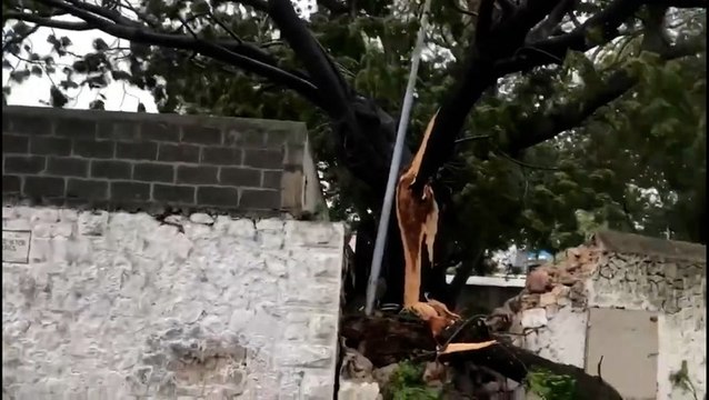 Strong winds and waves as cyclone descends on island nation of Mauritius