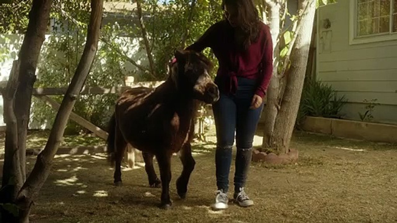 Adventures of Dally & Spank Fragman