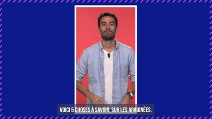 Une nouvelle espèce de ver tueur d'araignée découverte